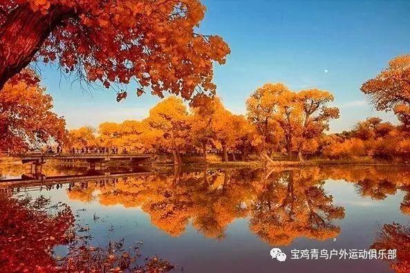 送女生项链好吗 送项链代表什么意思？游戏画面